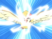 EP459 Pidgeot usando golpe aereo