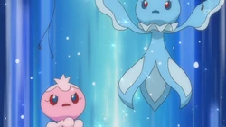 EP761 Frillish macho y hembra