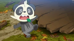 EE15 Pancham