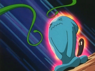 Wobbuffet de Jessie usando contraataque. Se envuelve en un aura y cuando un ataque llega a él...