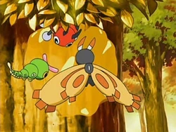 EP500 Pokémon comiendo miel