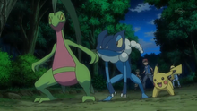 EP897 Rivalidad de Grovyle y Frogadier