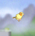 Pidgey en ssb