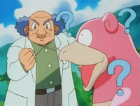 Slowbro del Profesor Westwood V usando amnesia.