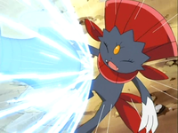 Garchomp de Cintia usando carga dragón contra el Weavile de Paul/Polo.