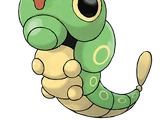 Caterpie