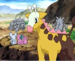 EP383 Pokemon salvajes (2)