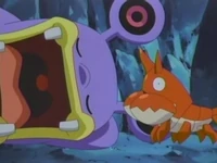 EP302 Corphish y Loudred