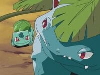 X 上的 Maestro Pokemon.：「Pokemon nº 3: Venusaur Tipo: planta/veneno 1º  Generación  / X