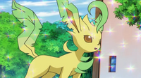 EP624 Leafeon de Zoe