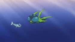 EP1014 Wishiwashi