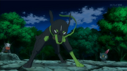 EP897 Zygarde al 10%