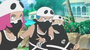 EP944 Team skull