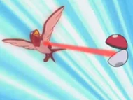 Taillow capturado por una Poké Ball.