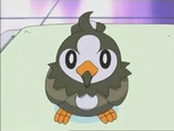 Imagen de Starly