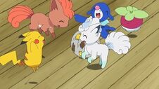 EP957 Vulpix jugando