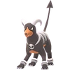Houndoom