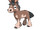 Mudbray