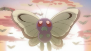 EP792 Butterfree despidiéndose