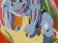 Machoke de Aníbal usando sumisión contra el Bayleef de Ash...