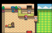 Guardería en Pokémon Diamante, Perla y Platino.
