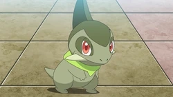 EP1154 Axew de Lirio