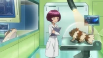 Imagen de varios Pokémon
