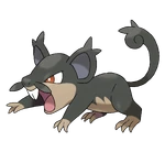 Rattata de Alola