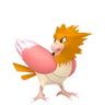 Spearow