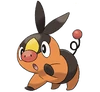 Tepig
