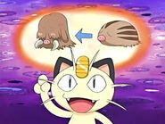 EP465 Imaginación de Meowth