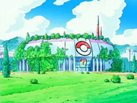 Gimnasio Pokémon de Ciudad Vetusta, Pokémon Wiki