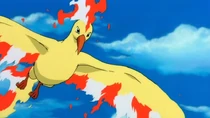 Imagen de Moltres