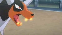 Mega-Houndoom usando triturar.