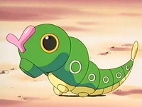 EP193 Caterpie