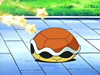 Squirtle de May/Aura usando refugio para protegerse de un rapidez.