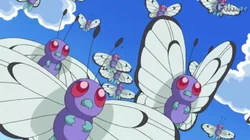EP792 Bandada de Butterfree