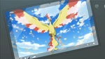 Foto suya de Moltres.