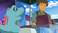 Totodile rechazando la comida de Khoury.