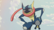 EP856 Greninja de Sanpei