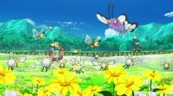 EP963 Butterfree Cutiefly