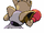 Hitmonchan espalda G4.png