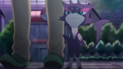 EVOL04 Purrloin de N