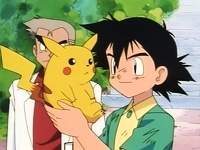 Pokémon – 1ª à 21ª Temporadas