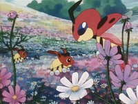 EP182 Ledyba y Ledian