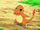 Charmander de Ash.png