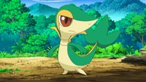 Imagen de Snivy