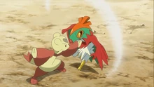 Mienfoo de Korrina/Corelia usando palmeo contra el Hawlucha de Ash.