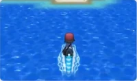Kalm usando Surf.jpg (61 kB) Kalm usando surf en Pokémon X y Pokémon Y.