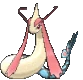 Imagen de Milotic hembra en Pokémon X, Pokémon Y, Pokémon Rubí Omega, Pokémon Zafiro Alfa, Pokémon Sol y Pokémon Luna